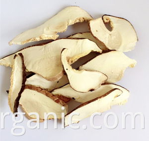 organic shiitake mushroom slice